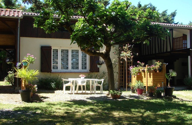 Little Garden