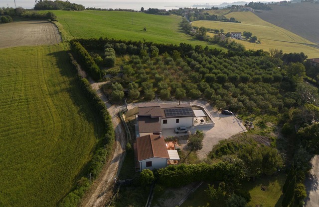 Little house among the olive trees