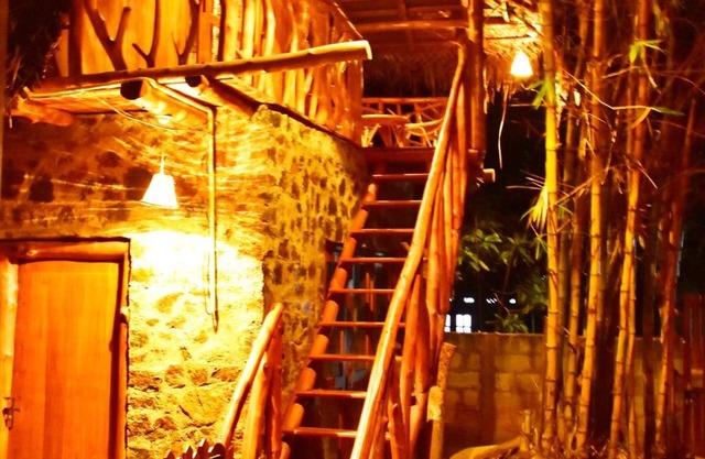 Lizard Safari Lodge