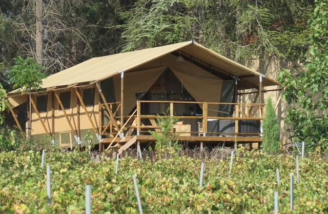 LODGE TENT SAFARI SYRAH