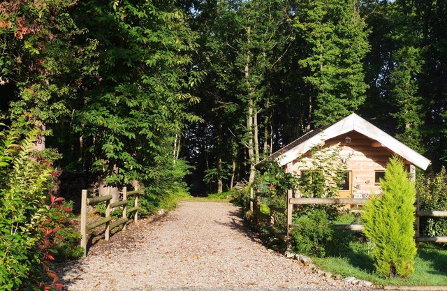Log house