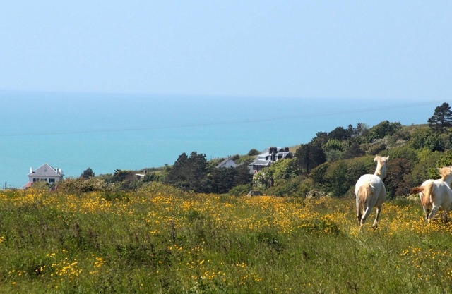 LOGT 5 PEOPLE SEA VIEW. PONY AND TRAMPOLINE. LOCATED ALONG A GR. NATURE