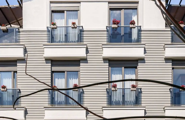 Loi Suite