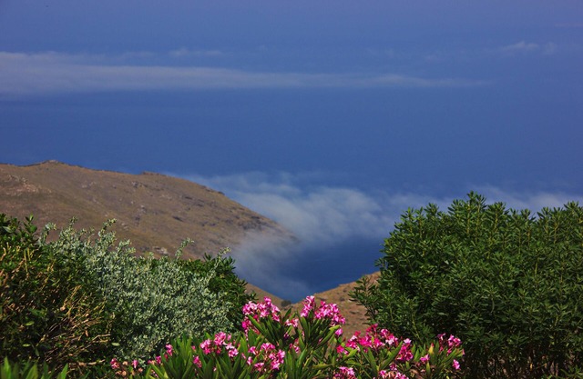 Lovebirds Nest - A Petite Lodge Enjoying Garden And Sea Views