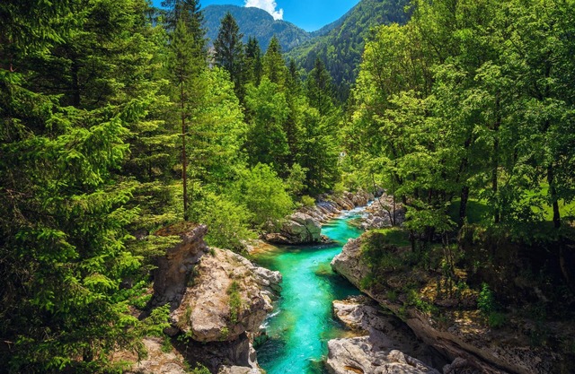 Lovely Flat Tolmin