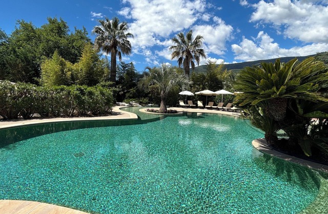 Lovely provencal high comfort villa with private garden and pool