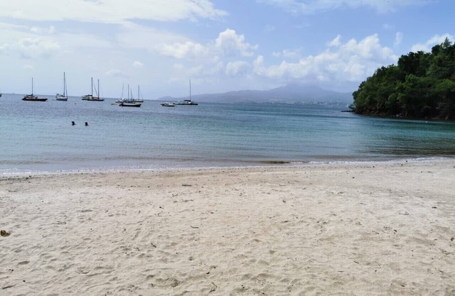 Lovely T1 Bis close to Anse à l'Ane beach