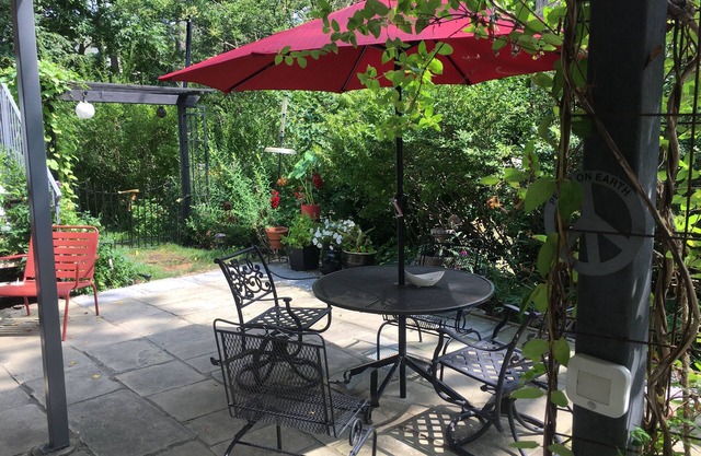 Lower level apartment accessed by patio door. Walk to, Downtown, Pet friendly.