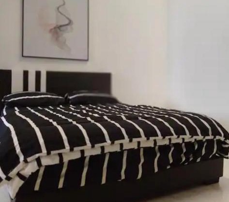 LSH Homestay