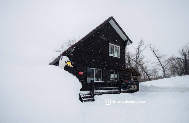 Lucky Duck Cabin Myoko