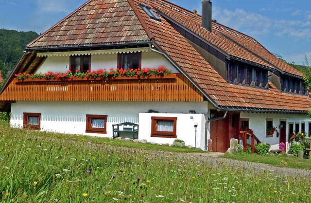 Luscious Apartment in Rickenbach with Free WiFi