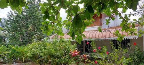Lush Garden Villa with Sand Garden
