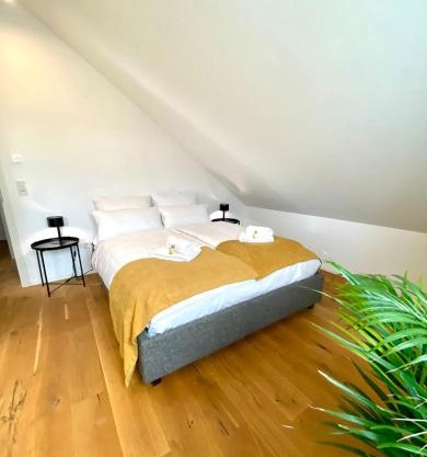 Luxuriöses Penthouse mit Parkplatz zentral in Eltville