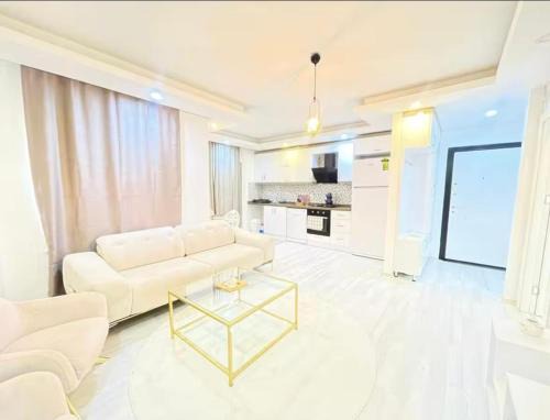 luxury apartment in old town