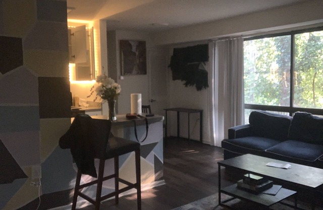 luxury fully renovated condo (events allowed