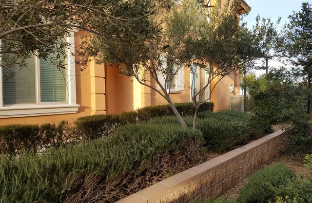 Luxury Lake Las Vegas Condo 2 Bedroom w/Amenities