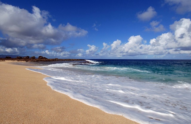 Luxury North Shore Beachfront - contact for details HI requires 1 renter/30 days