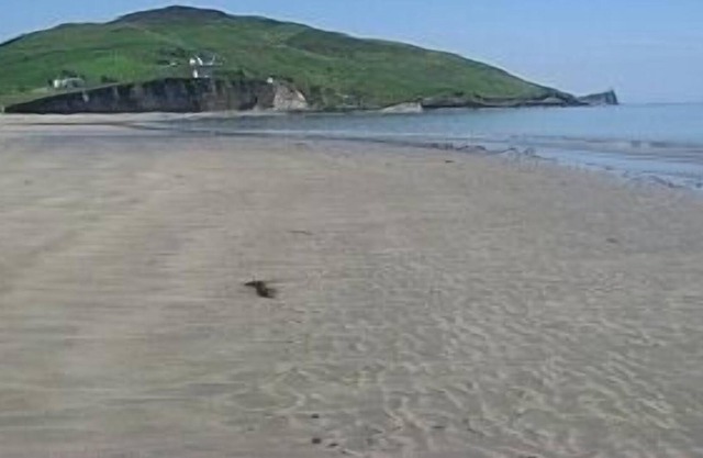 Luxury Seaside House, Sleeps Up To 10 Sea Views, Minutes To Beach