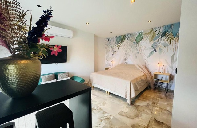Luxury studio with private jacuzzi near beaches