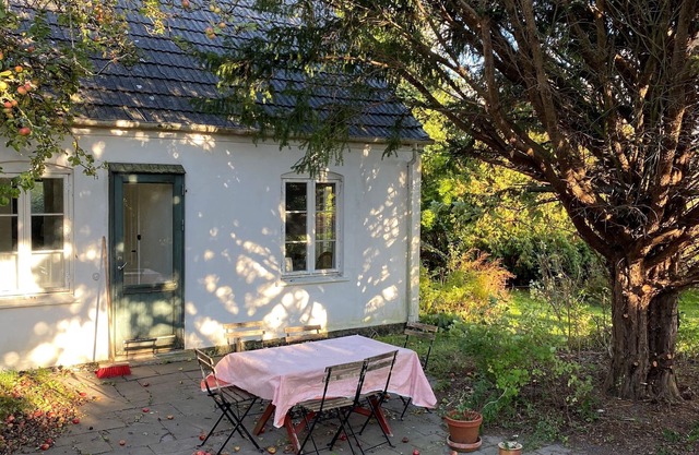 Møn, Denmark - Farmhouse in countryside, 1km from forest & beach