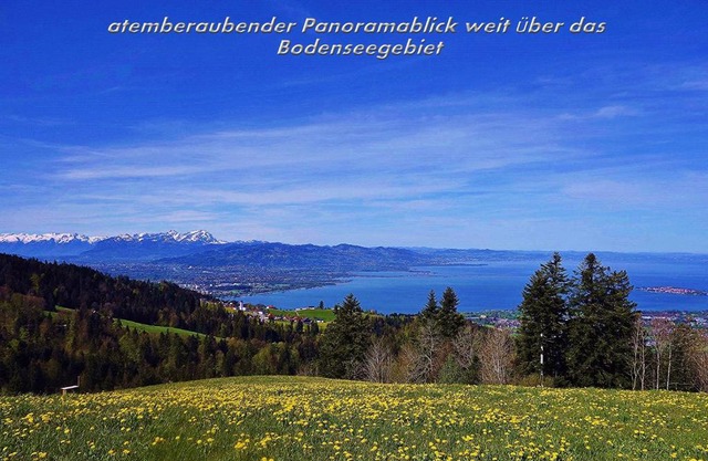 Mühlenhof