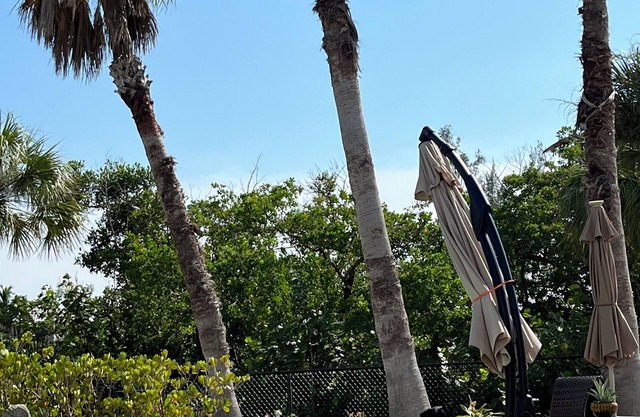 Magical 2 bedroom home with pool & dock on secluded Palm Island - walk to beach