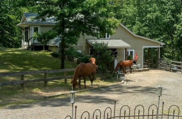 Magical Unicorn Hollow/Wineries/Great Meadows EventsnFully furnished apartment