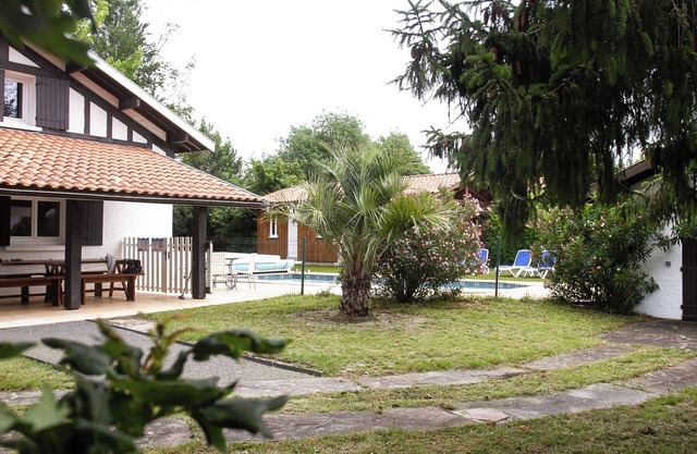 Magnificent, recently renovated villa with private pool and wooded grounds.