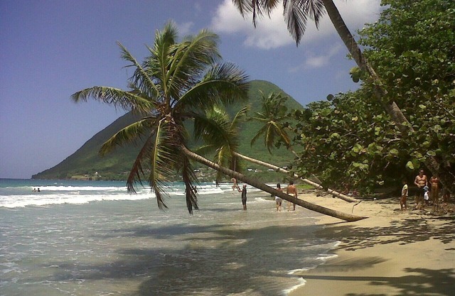 Magnificent T2 of 55m2 facing the beach of Diamant to recharge your batteries.