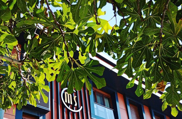 Maidos Suites