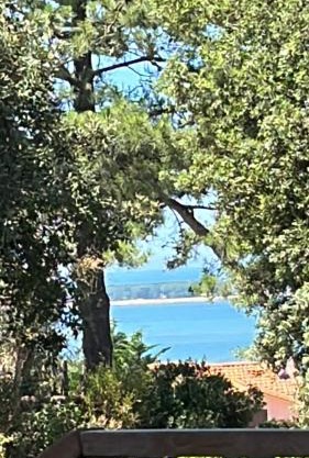 Maison Albatros