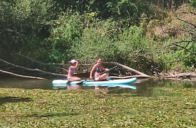 Maison d'artiste en Bord de Rivière - Canoeing, Calm & Escape.