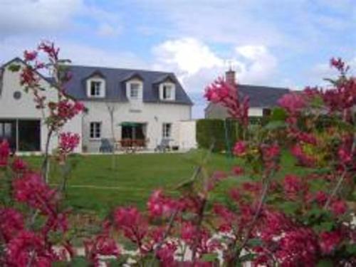 Maison de campagne avec piscine et animaux admis, proche des châteaux de la Loire - FR-1-491-413