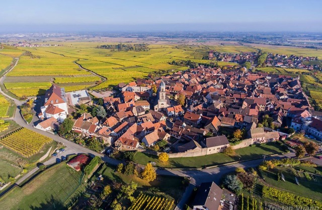 MAISON SIMMLER
