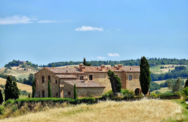 Malva - Zampugna Estate