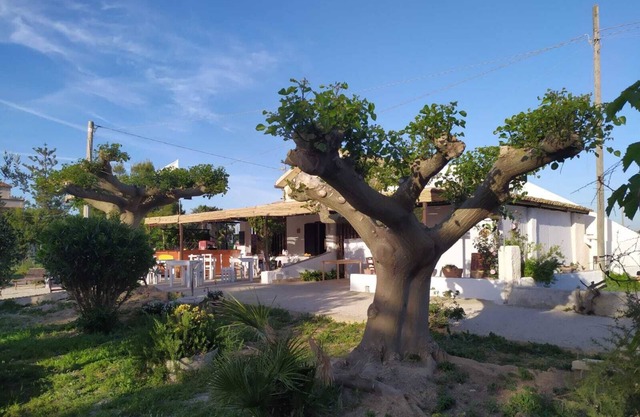 MammaCollette Rent Rooms and Home Restaurant, Bar, Kite, Massages,