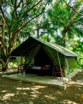 Mango Safari Camping Udawalawe