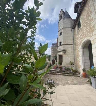 Manoir des Roches 41