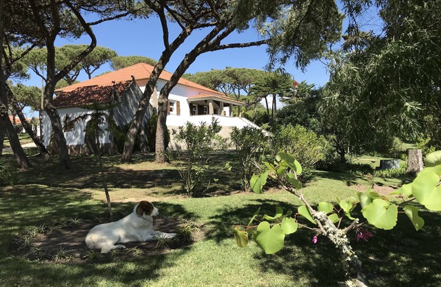 Manor House private pool/near the beach in Sintra/Cascais Natural Park