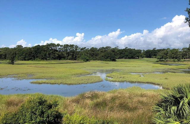 Marshland Beach Paradise
