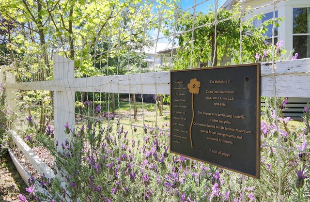 McNamara House: Where history meets comfort in Beechworth's heart.