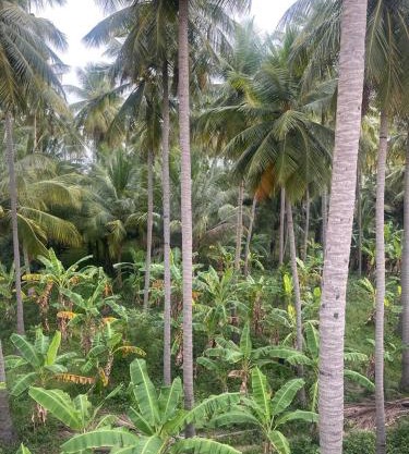Meenakshi Amman Home stay
