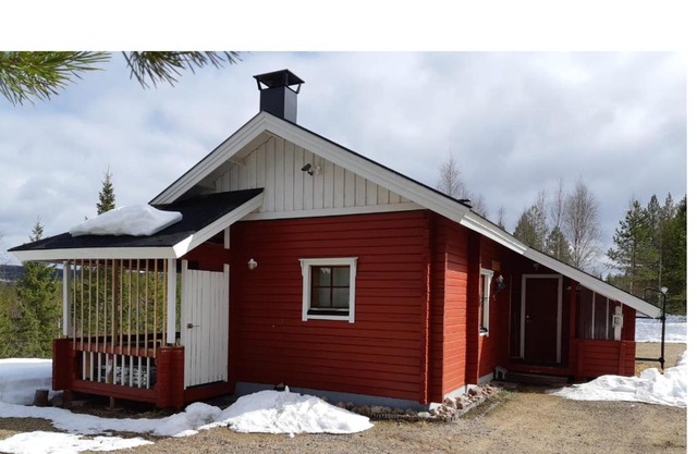 Metsorinne 3A sarvipöllö