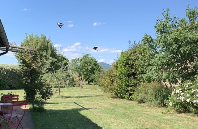 Milva's Nest Countryside