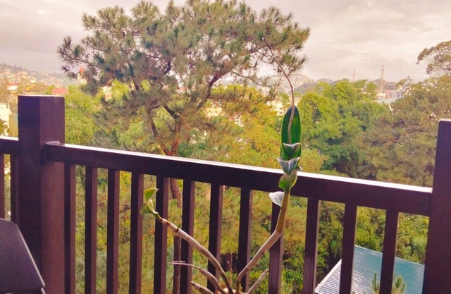 Modern 1BR Condo w/Balcony, Full Amenities & Stunning Views