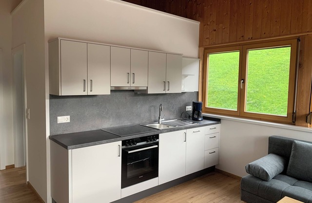 Modern and cosy holiday flat near Heinfels Castle and the Thurntaler ski area
