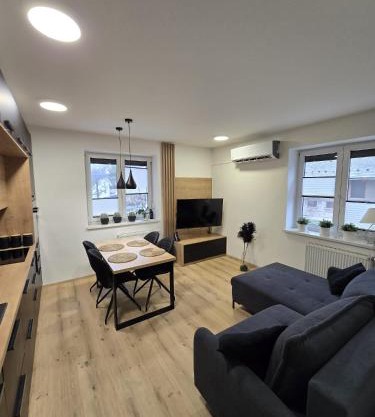 Modern Apartment Javornik