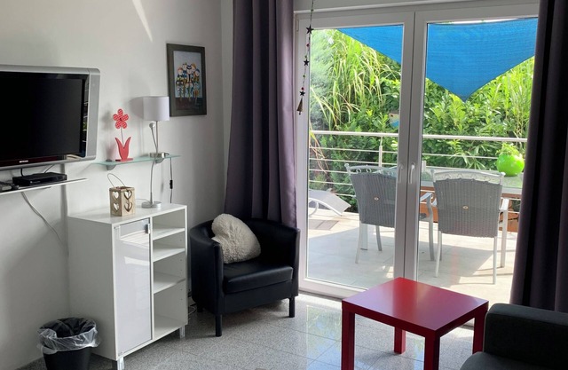 Modern bright apartment on Lake Constance Meersburg lake and mountain view vacation, dog