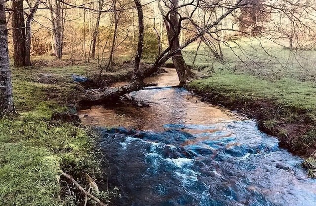 Modern Creekside Cottage - Nearby Vineyards/Hiking