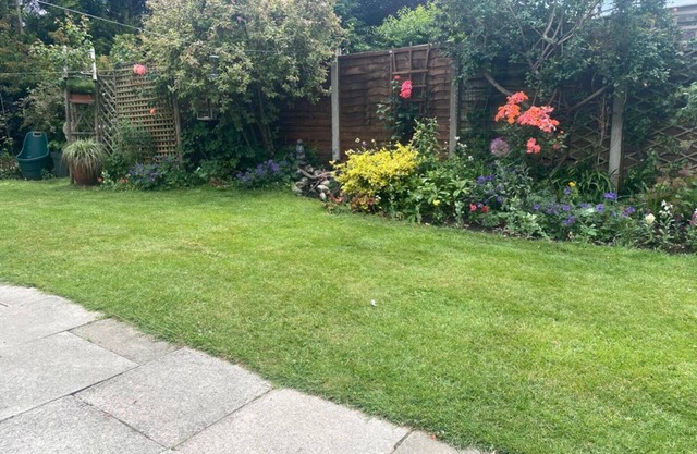 Modern Detached Bungalow